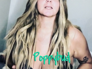 Poppybud