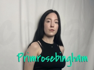 Primrosebingham