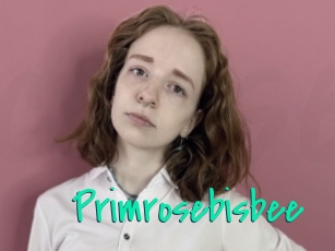 Primrosebisbee