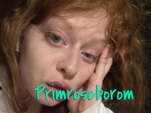 Primroseborom