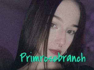 Primrosebranch