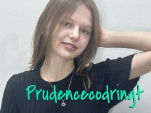 Prudencecodringt