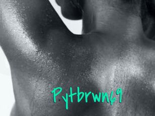 Pytbrwn69