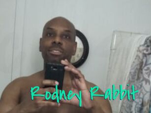 Rodney_Rabbit