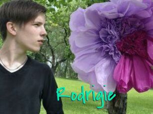 Rodrigie