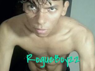 RogueBoy22