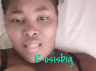 Rosisbig