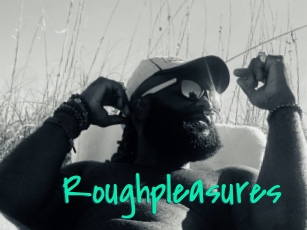 Roughpleasures