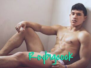 Roybigcock