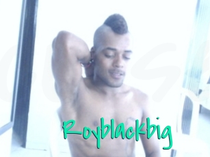 royblackbig Cool Sexe
