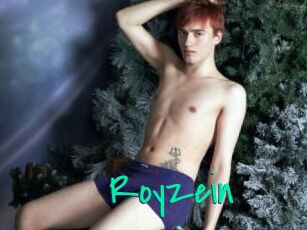 Royzein