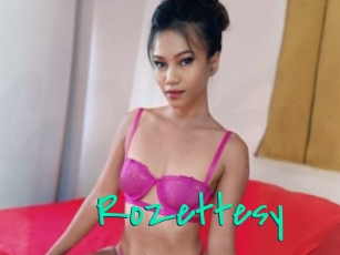 Rozettesy