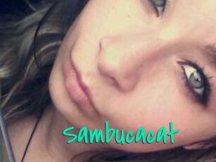 Sambucacat