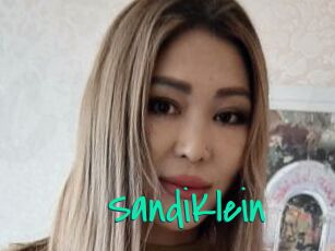 SandiKlein