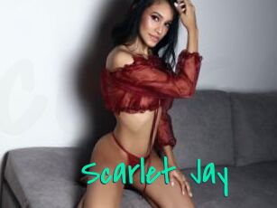 Scarlet_Jay