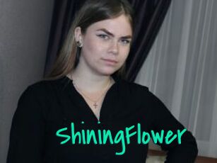 ShiningFlower