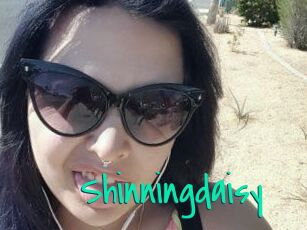 Shinningdaisy