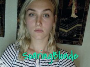 SoaringBlonde