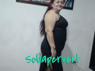 Sofiapervert