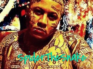 SpiderTheSnake