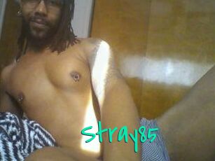 Stray85