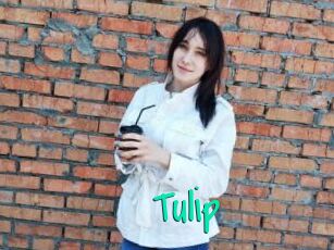 Tulip