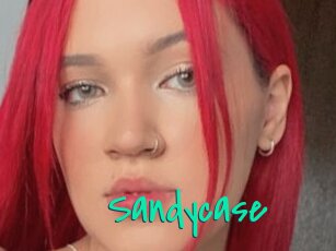 Sandycase
