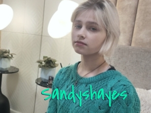 Sandyshayes