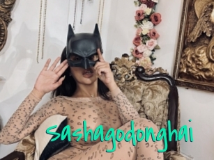 Sashagodonghai