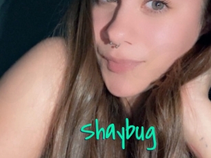 Shaybug