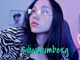 Silicialumberg