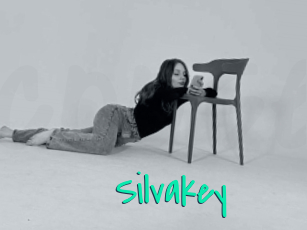 Silvakey