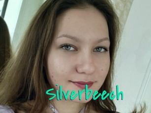 Silverbeech
