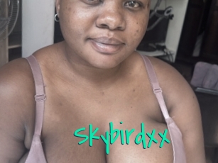 Skybirdxx