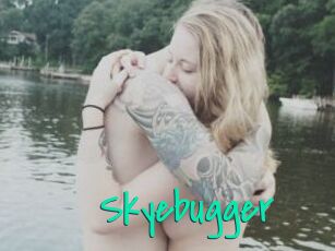 Skyebugger