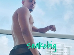snakebig Cool Sexe