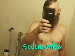Sodomymike