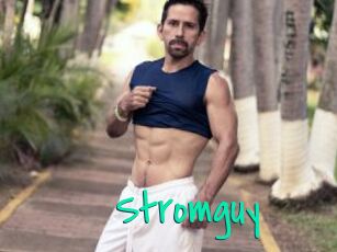 Stromguy