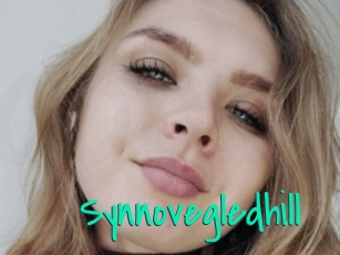 Synnovegledhill