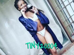 TINY20004