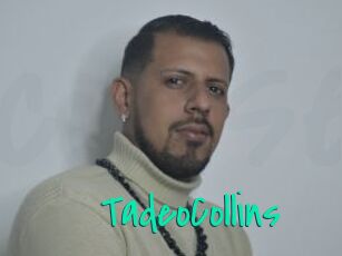 TadeoCollins