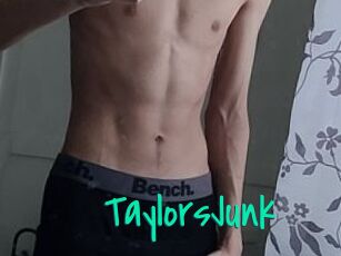 TaylorsJunk