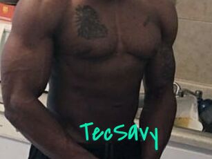 TecSavy