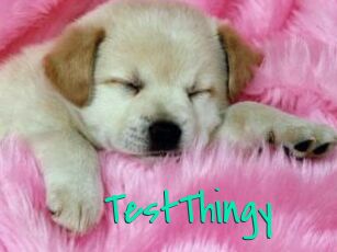 TestThingy