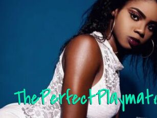 ThePerfectPlaymate