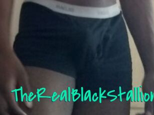 TheRealBlackStallion1