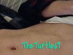 TheTurtle69