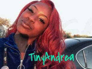 TinyAndrea