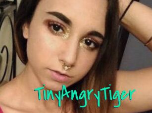 TinyAngryTiger