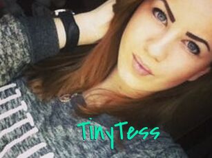TinyTess